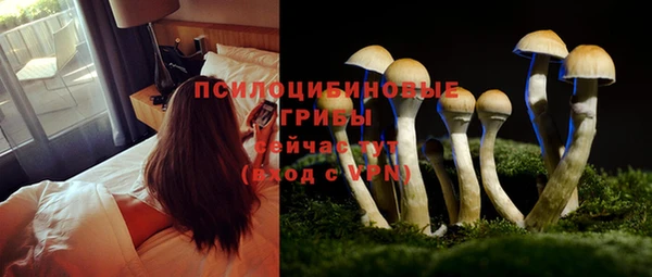 ешки Вяземский