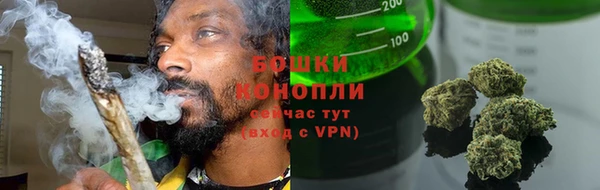 ешки Вяземский