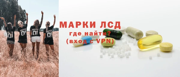 ешки Вяземский