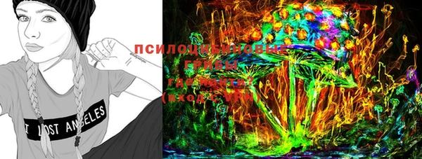 ешки Вяземский