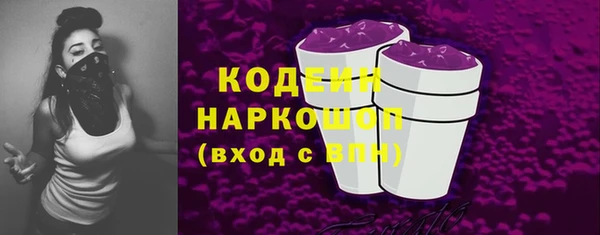 ешки Вяземский