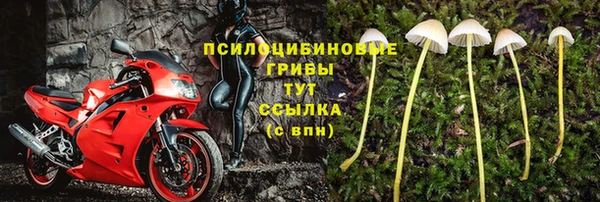 кристаллы Горняк