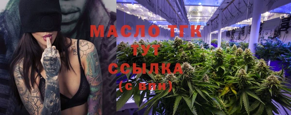 тгк Горнозаводск