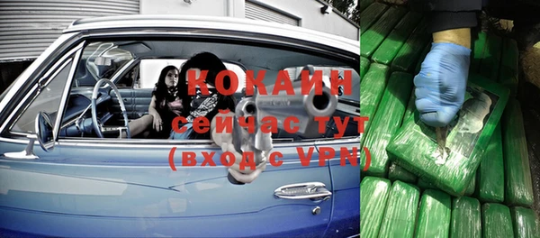 тгк Горнозаводск
