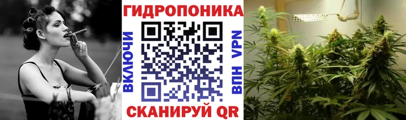 цены наркотик Тобольск blacksprut ссылки Бошки марихуана SATIVA & INDICA